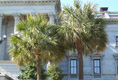 Close up of two Palmetto trees infront of the SC State House